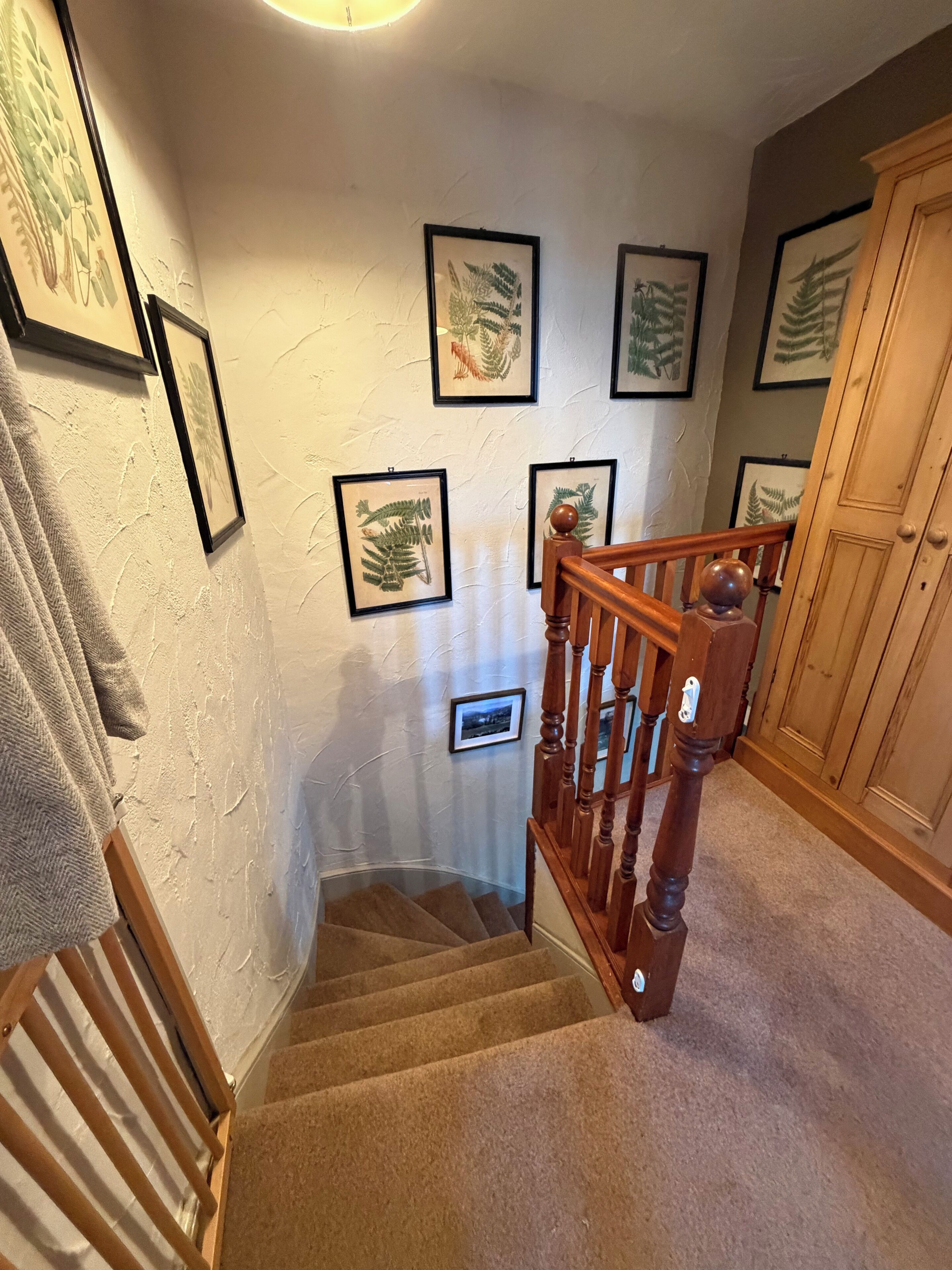 A carpeted staircase with wooden railings and framed botanical prints on the walls.