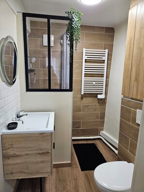 Hair dryer, towels, soap, toilet paper - 1 bedroom apartment in Rouen (Rouen)