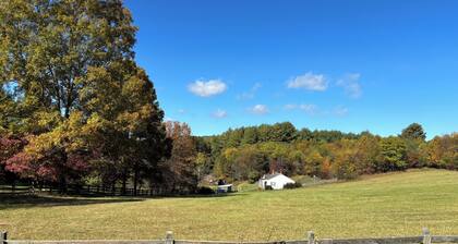 Remodeled Farmhouse on 30 acres, enjoy the peacefulness of living on a farm