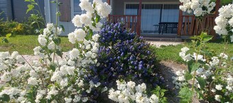 2 Bedroom Chalet in Arzal