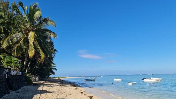 A beach with palm trees, a sandy shore, and several boats in the water. - 4 Bedroom Private Villa Villa La Tourelle (Tamarin)