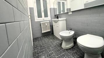 Shower, hair dryer, bidet, towels