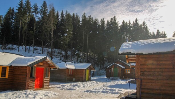 En rad med trähus med snötäckta tak, omgivna av en skog.
