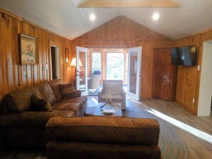 TV, fireplace, books