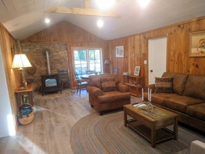 TV, fireplace, books