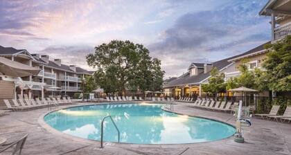 Sonoma | Vineyard Luxury Escape & Outdoors | Pool | 3BR Penthouse • Sleeps 6