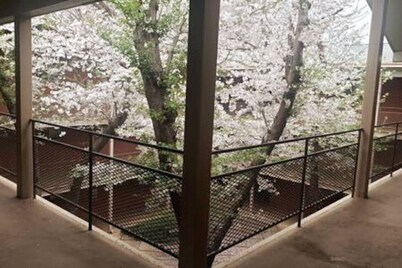 Walk to Sanford Stadium/DT w/view Dawg Friendly!