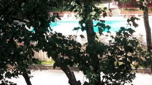 Un área de piscina con vista despejada al agua, rodeada de árboles.