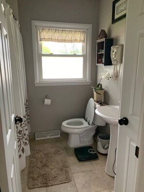 Secador de pelo, toallas, jabón, shampoo