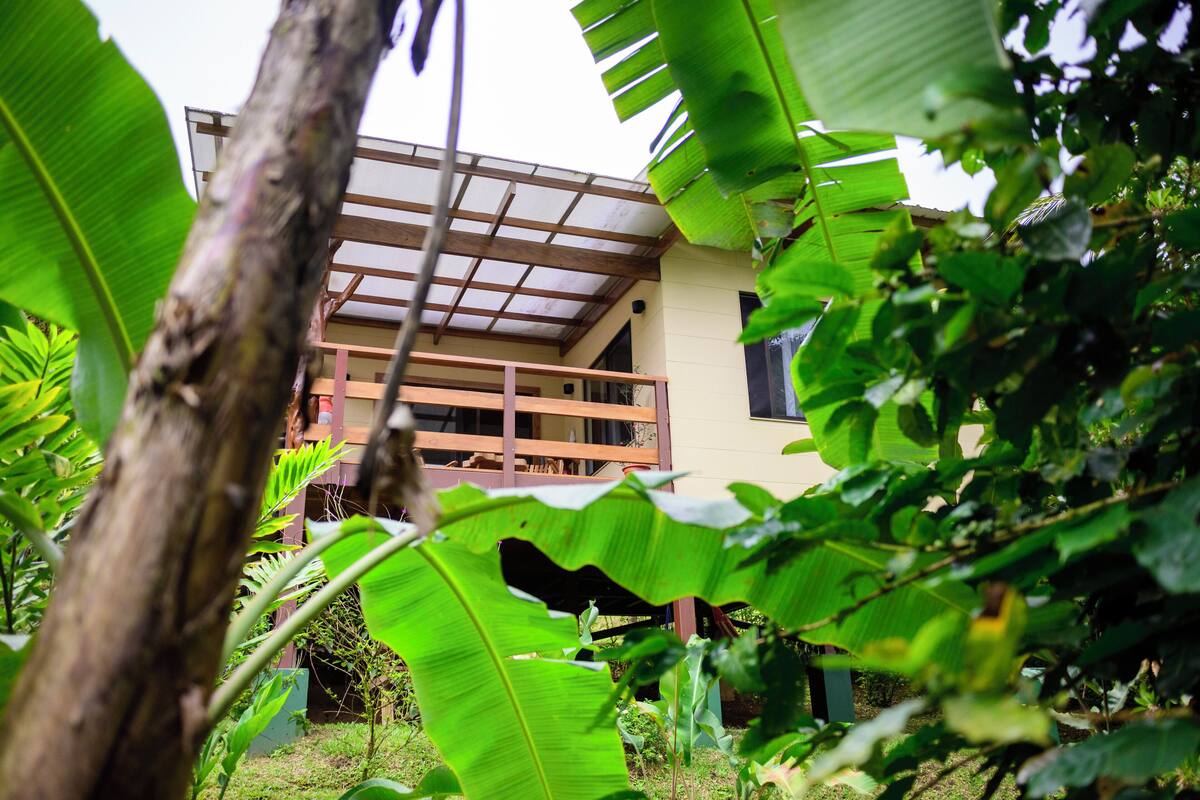 A modern building with a wooden balcony and large green leaves in the foreground.