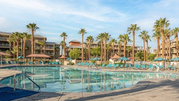 A resort pool area with palm trees, lounge chairs, and umbrellas.