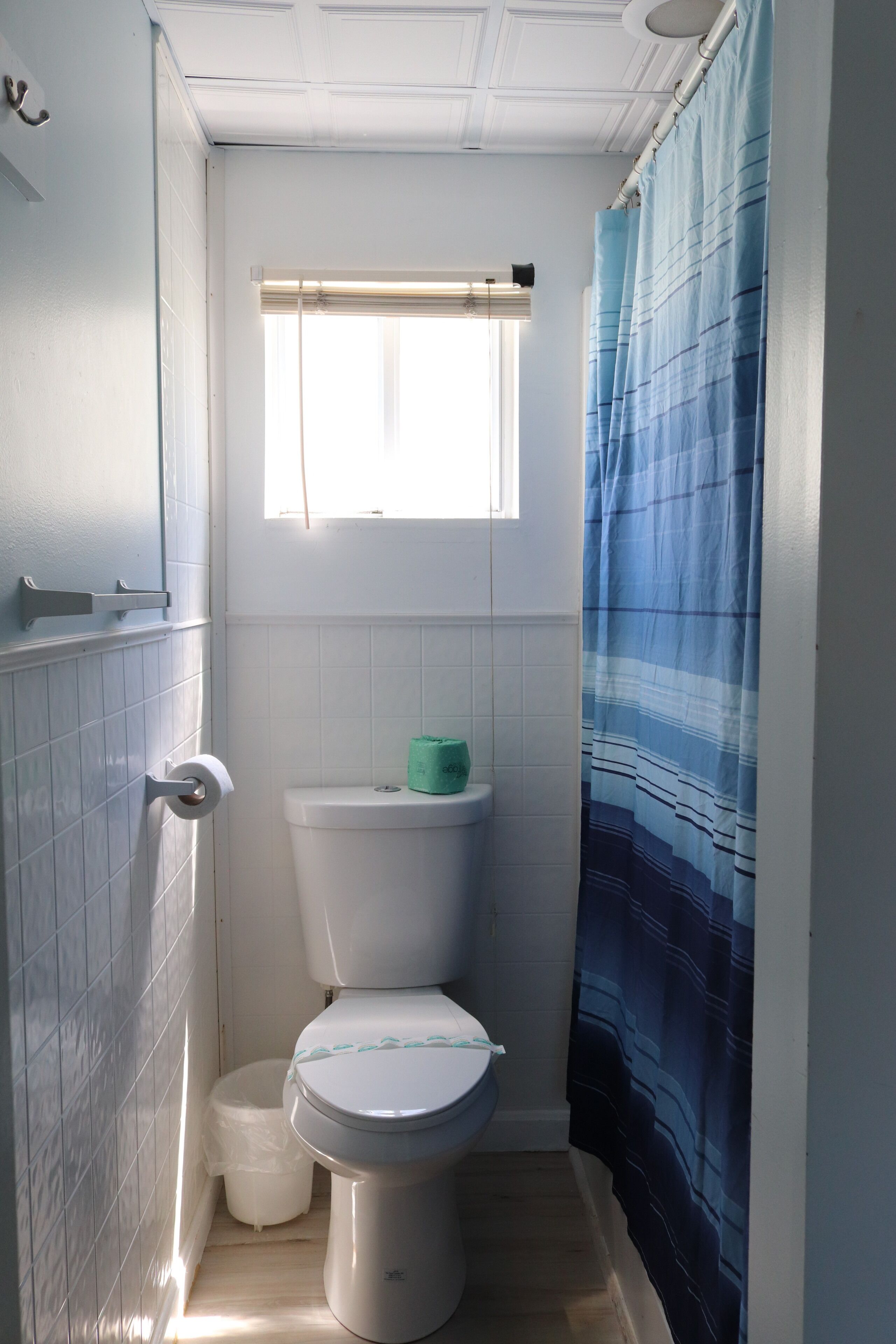 A small bathroom with a toilet, a window, and a shower curtain.