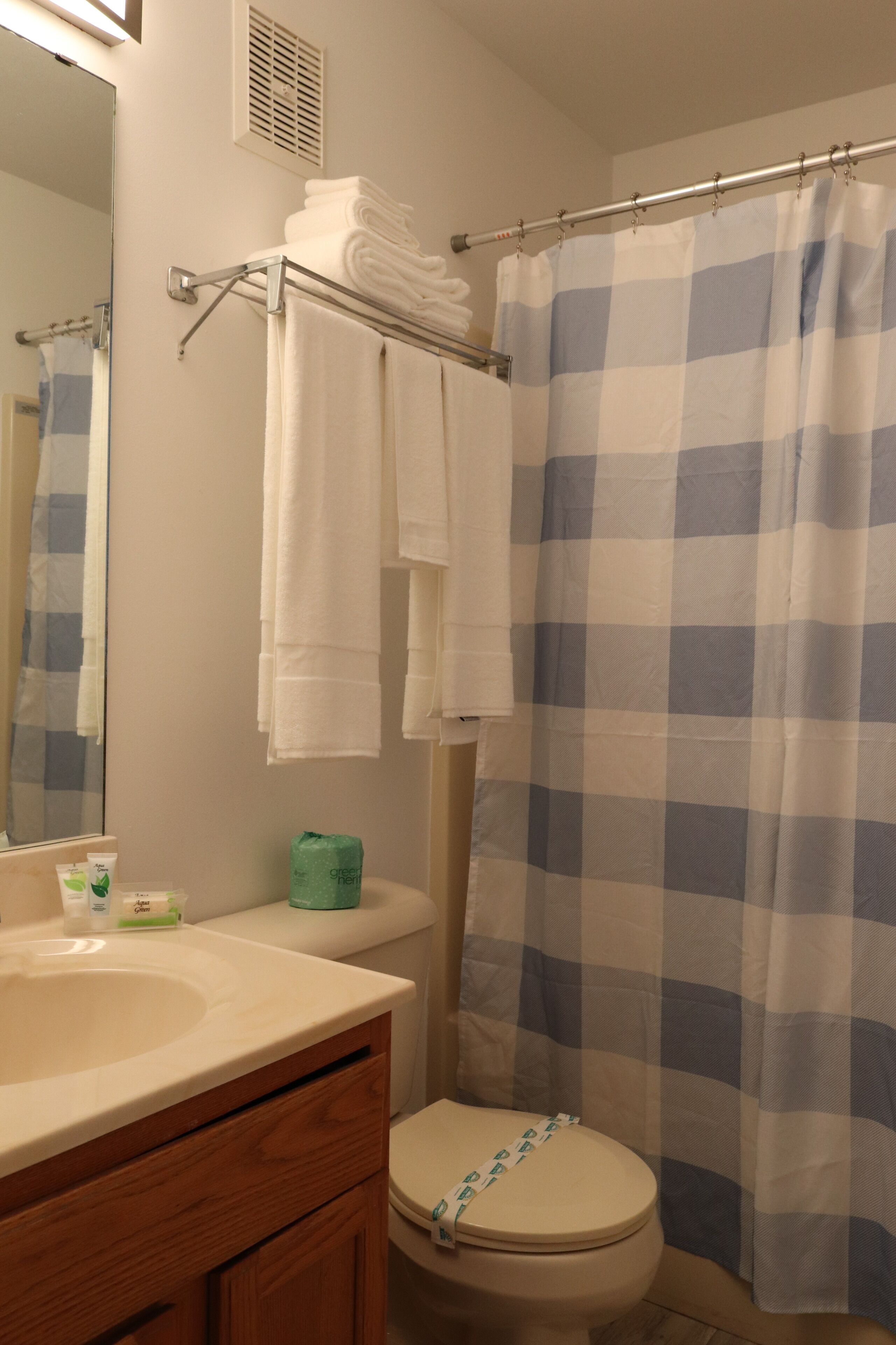 A bathroom with a sink, mirror, toilet, and a shower curtain.