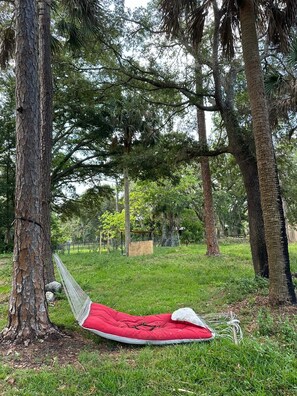 Property grounds - RV Apartment near Disney, Universal Parks, and all of Orlando's attractions. (Christmas)