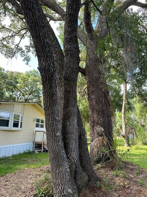 Property grounds - RV Apartment near Disney, Universal Parks, and all of Orlando's attractions. (Christmas)