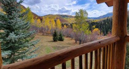 Wilderness Cabin In Colorado Mountains