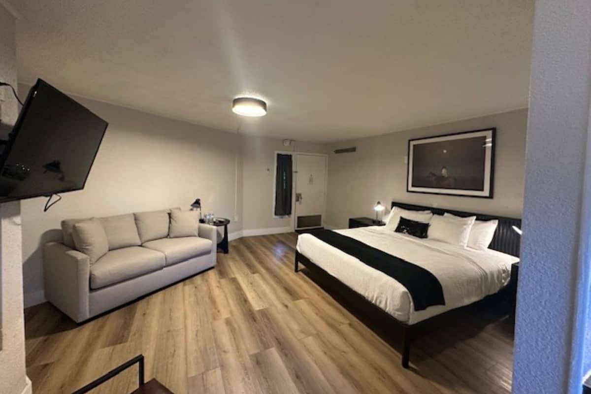 A hotel room with a bed, a sofa, a TV, and a painting on the wall.