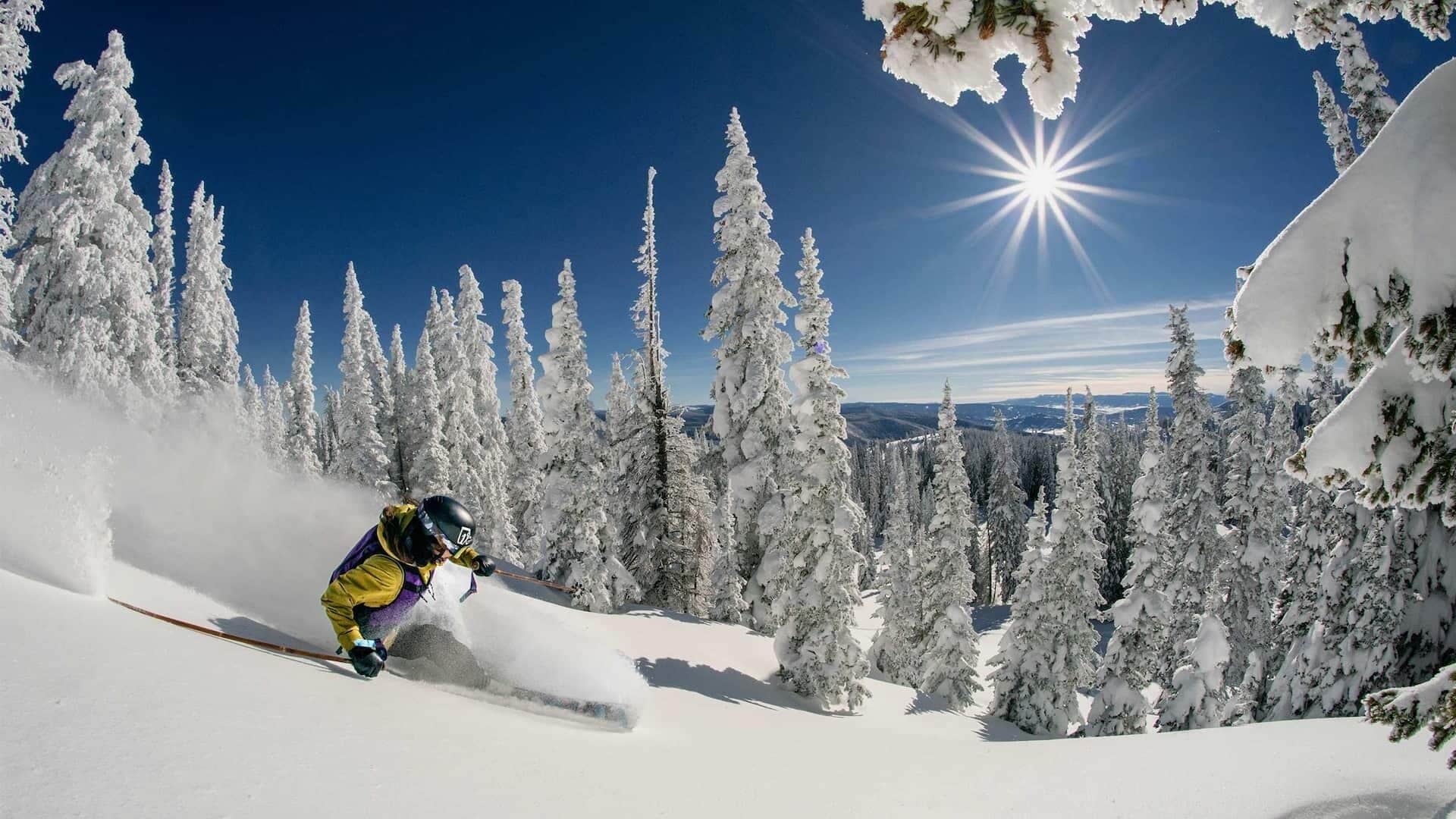 Een skiër op een besneeuwde helling, omringd door sneeuwbedekte bomen en een heldere lucht.