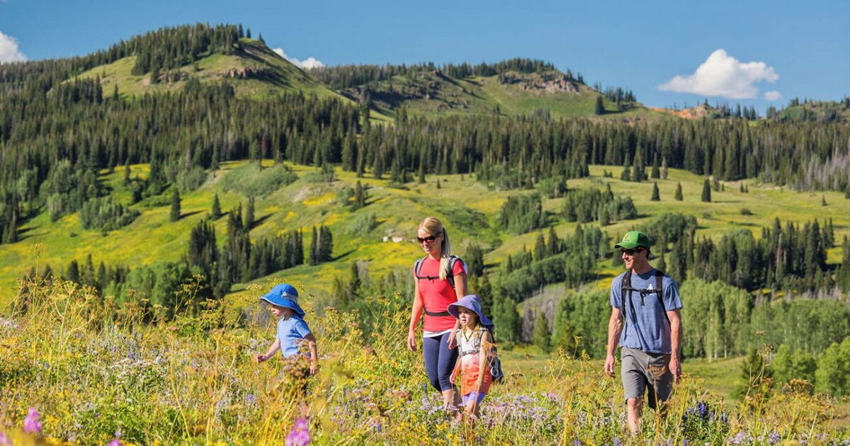 A family hiking in a mountainous area with dense forests and grassy hills.