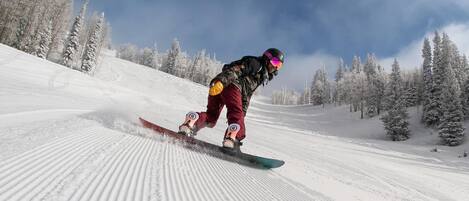 Ein Snowboarder auf einem verschneiten Hang, im Hintergrund Bäume.