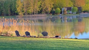 Une vue paisible sur un lac, avec une pelouse, une rangée de fauteuils Adirondack et une maison en arrière-plan.