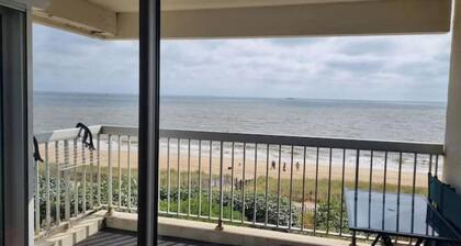 Beautiful T3 sea-facing apartment with direct access to the beach and the customs path
