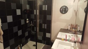 Regadera, secadora de cabello, toallas, papel de baño 