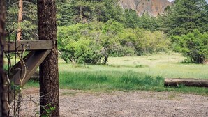 Un paysage naturel avec un sentier de gravier, des arbres et une montagne en arrière-plan.