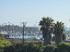 A marina with boats, a bridge, and palm trees.