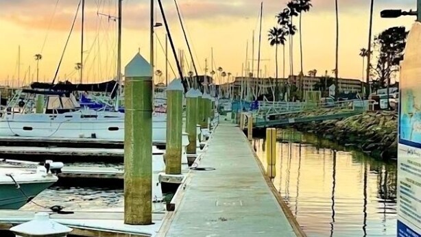 A marina with boats docked, a concrete walkway, and palm trees in the background.