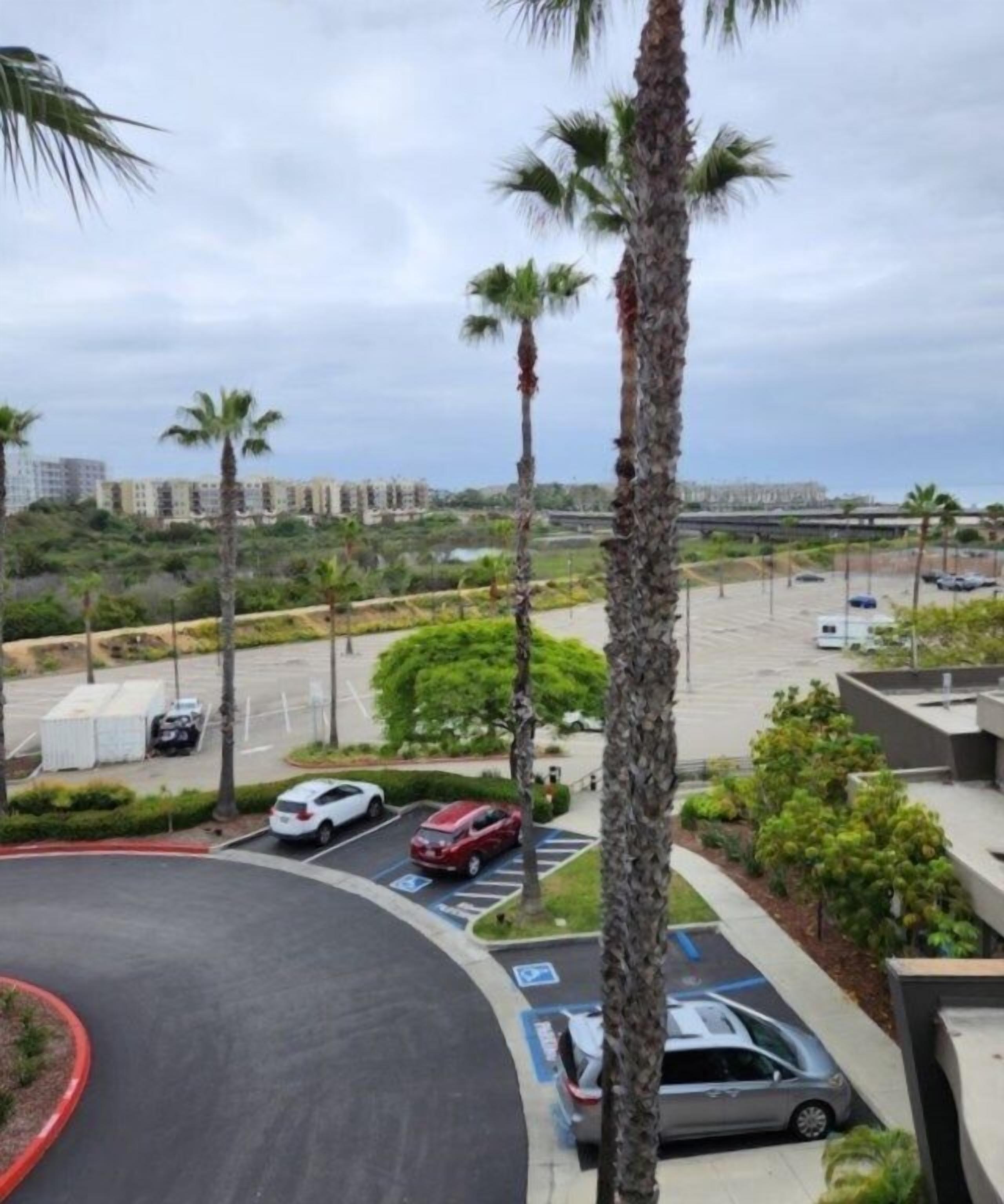 A parking lot with several cars, palm trees, and a view of buildings in the background.