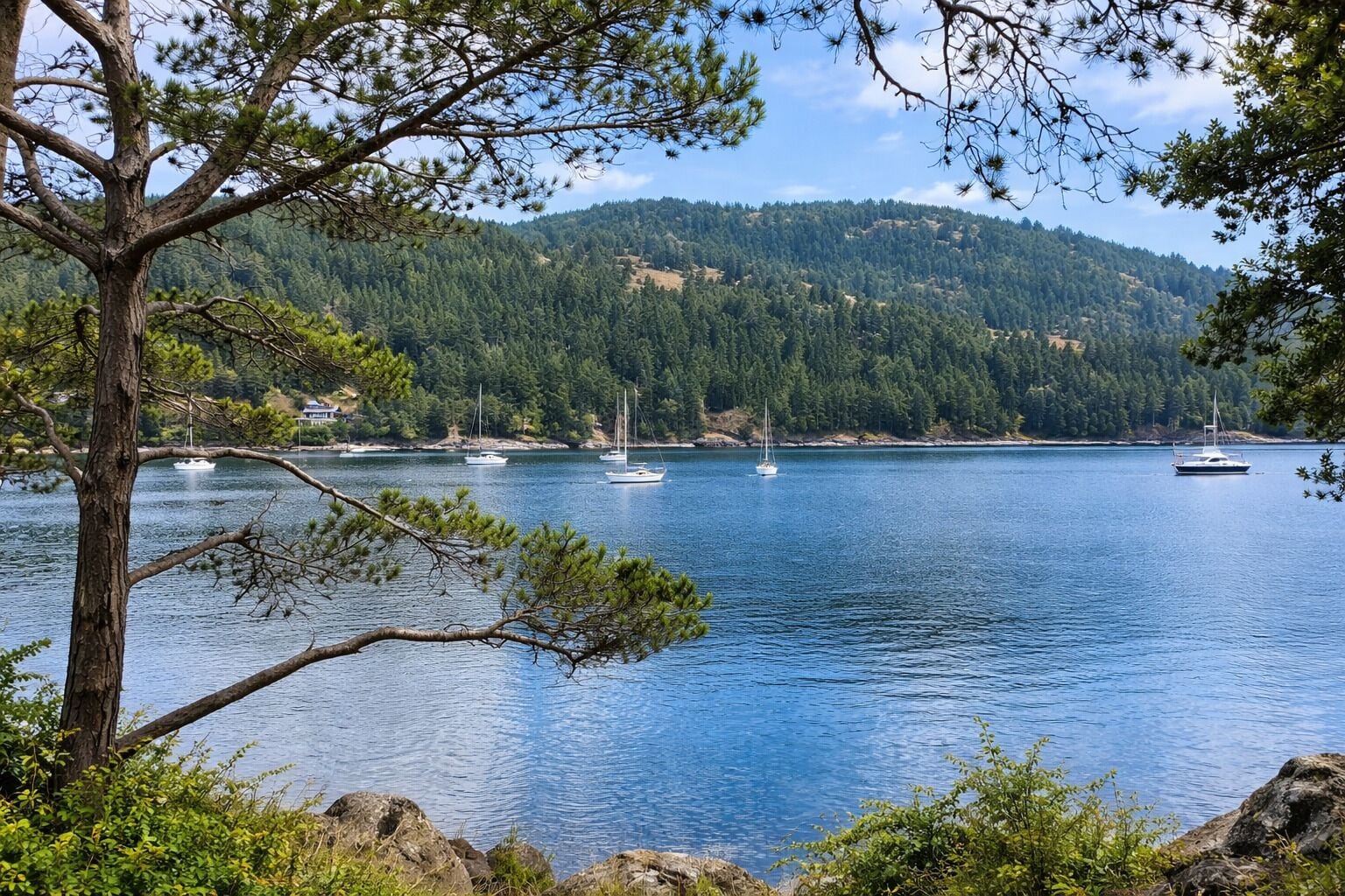 A calm lake with boats, surrounded by dense forest and hills.