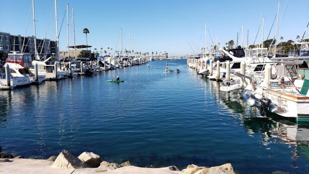 A marina with boats docked along the water's edge, a clear sky, and a calm water surface. - WorldMark Oceanside - 1 Bedroom Accessible (Oceanside)