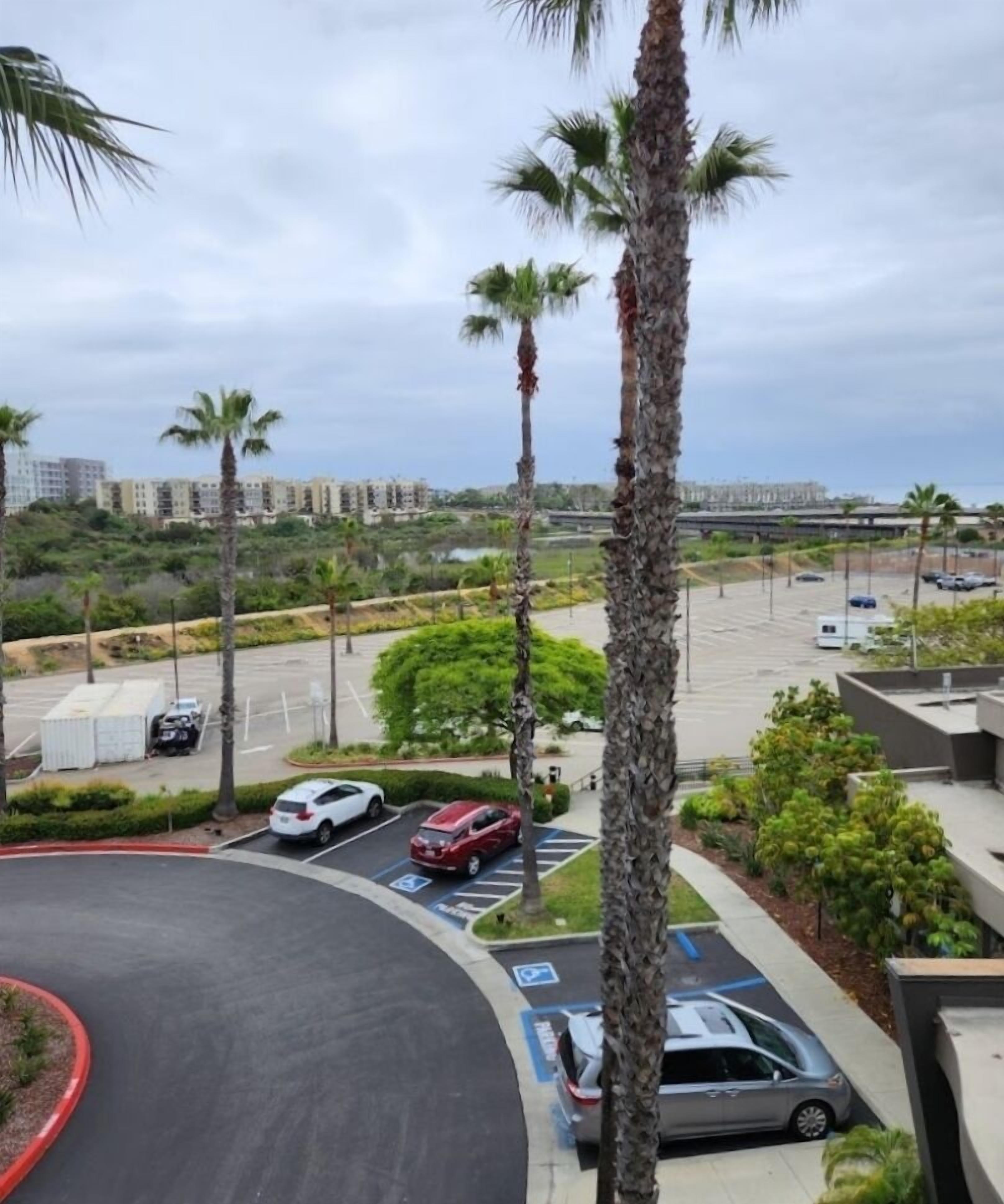 A parking lot with several cars, palm trees, and a building in the background.
