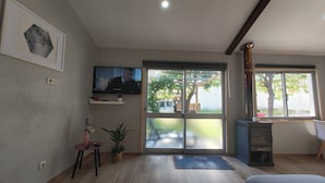 A living room with a TV, a fireplace, a sliding glass door to the outdoors, and a small table with a plant.