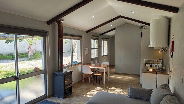 A modern living room with a grey sofa, a dining area with a table and chairs, a kitchen with a sink and stove, and large windows offering a view of the outdoors.