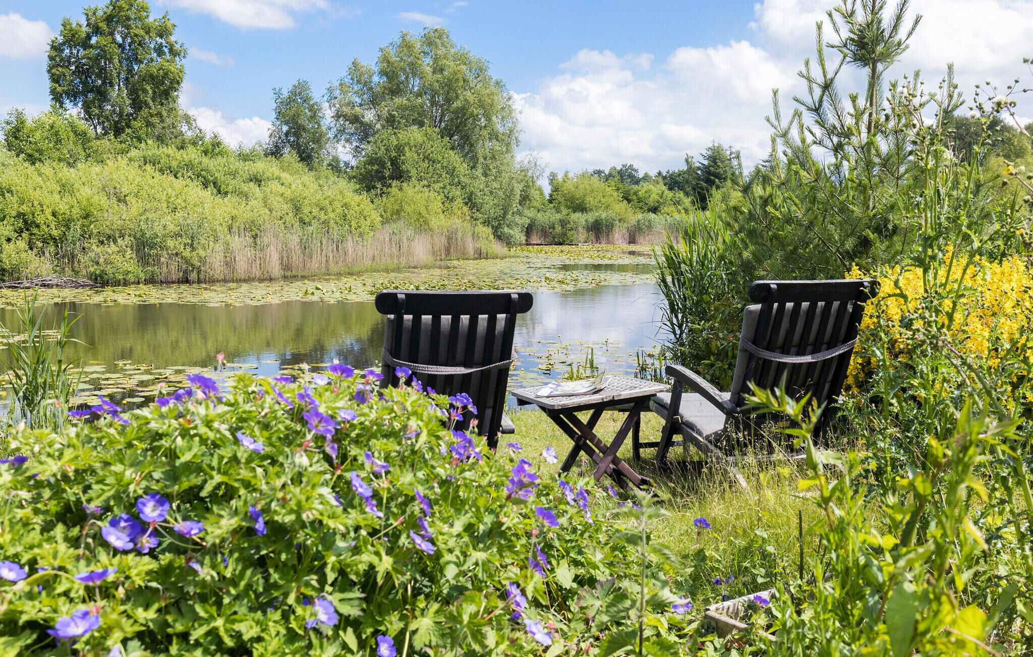Un cadre paisible au bord du lac, avec deux bancs en bois et une petite table, le tout entouré d’une végétation luxuriante et de fleurs aux couleurs vives.
