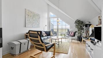 Télévision, cheminée, lecteur de DVD