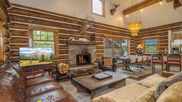 Televisión, chimenea y videojuegos