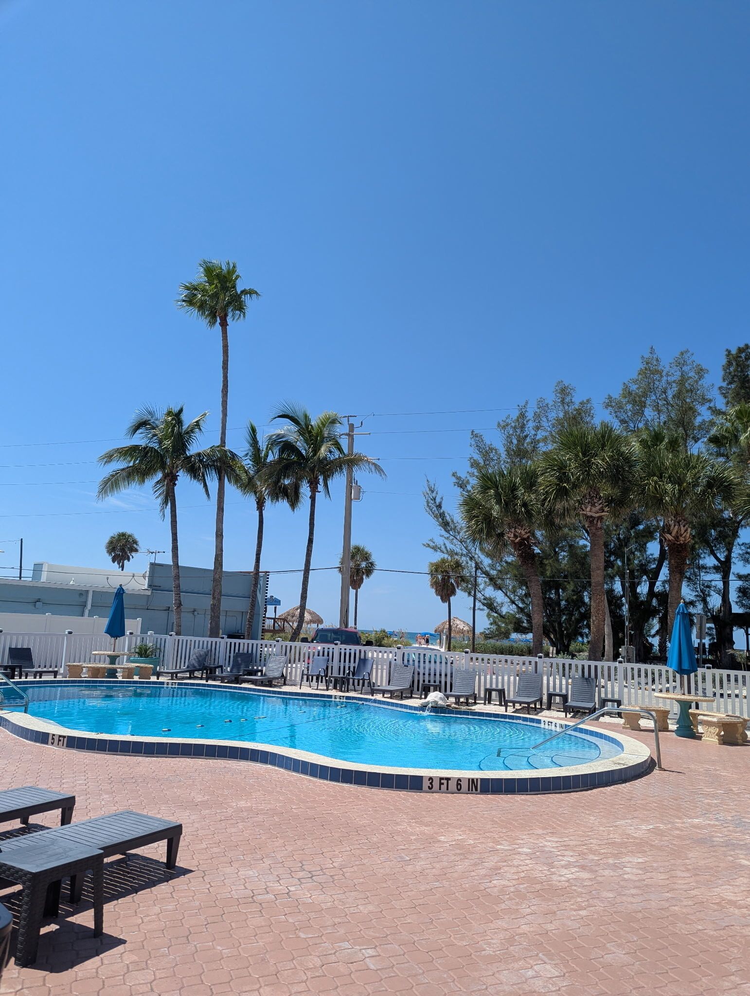 A swimming pool with a surrounding deck, palm trees, and a clear blue sky.