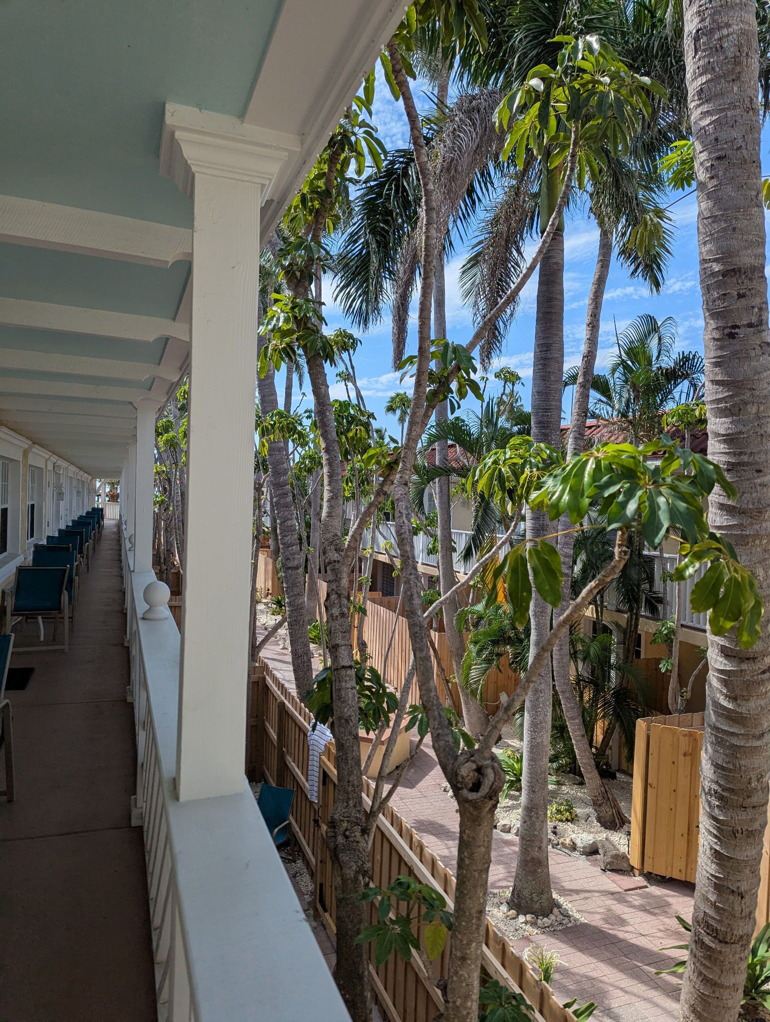A covered outdoor area with rows of green chairs, palm trees, and a wooden fence.