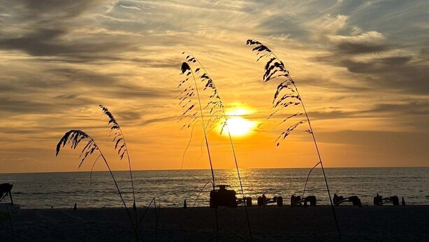 Un atardecer sobre una playa con siluetas de pasto y una fila de sillas de playa.