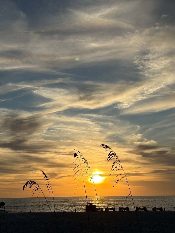 Playa
