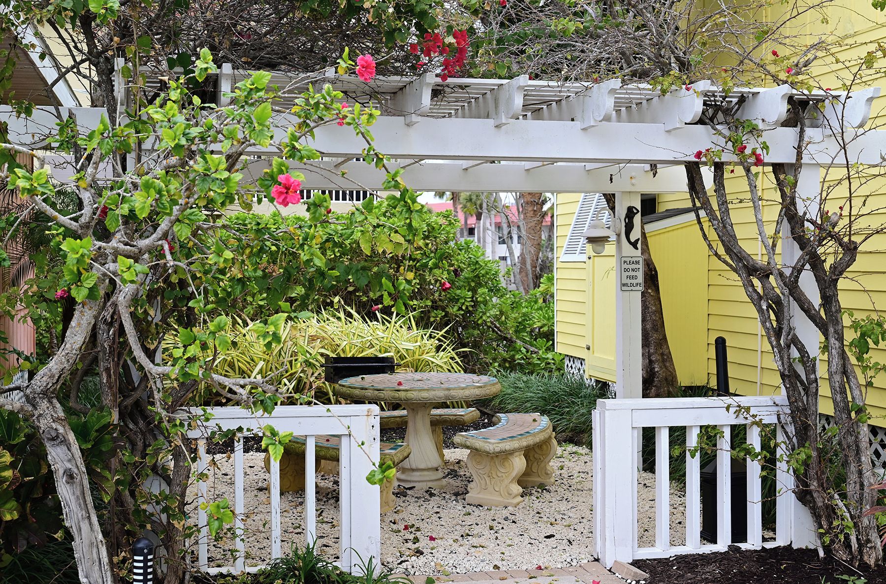 Un jardín con un pérgola blanca, un bebedero para pájaros y una valla blanca.