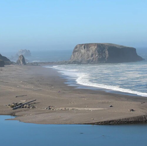 The Tiny Tipsy Turtle