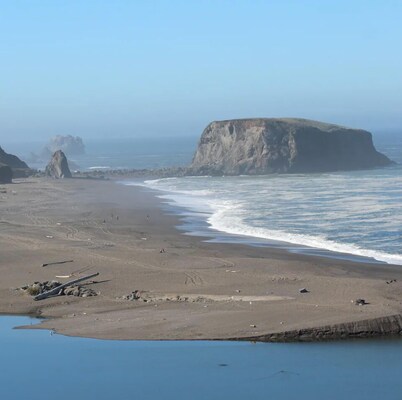 The Tiny Tipsy Turtle