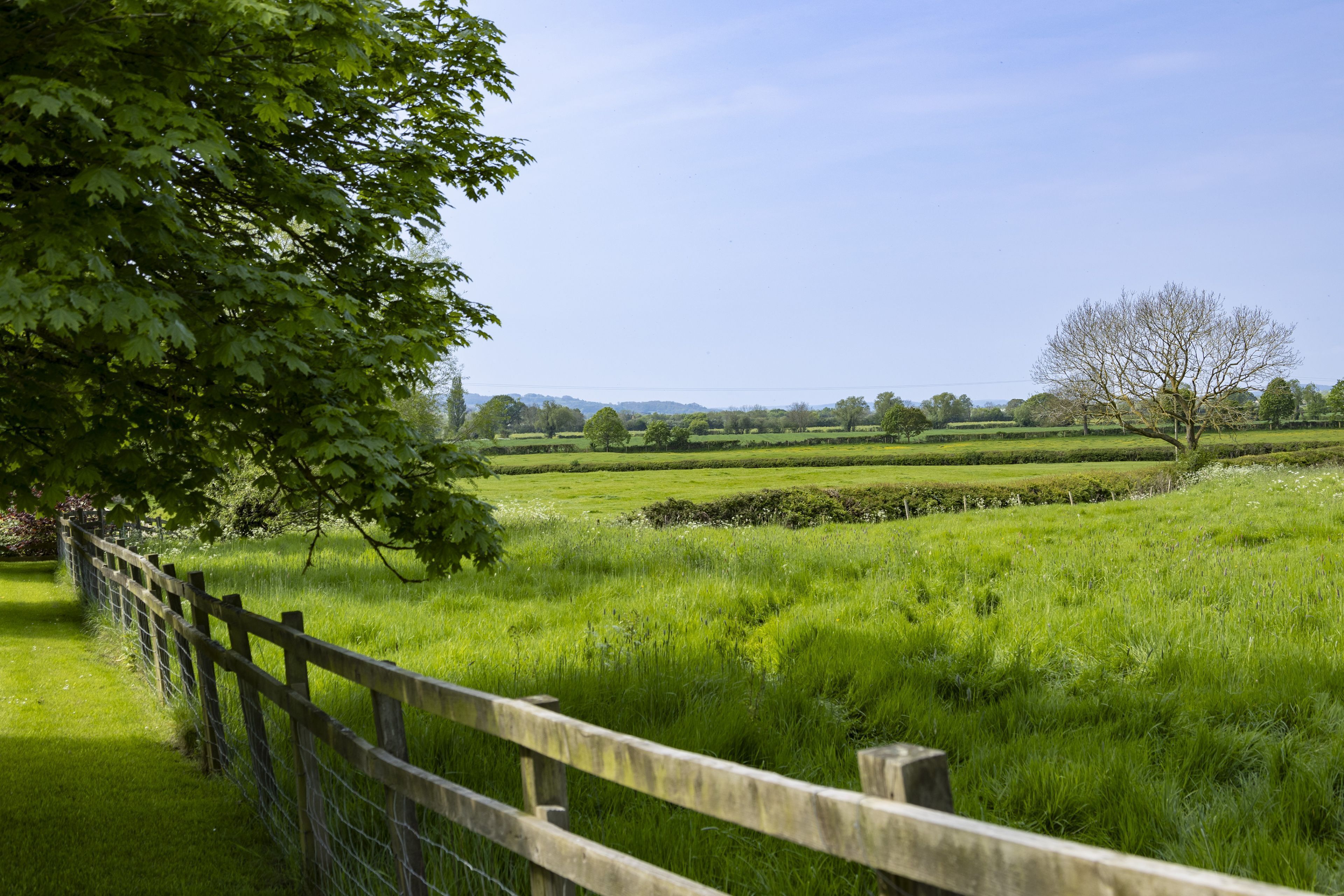 Un paysage rural avec une clôture en bois, de vastes champs verdoyants et un arbre au premier plan.