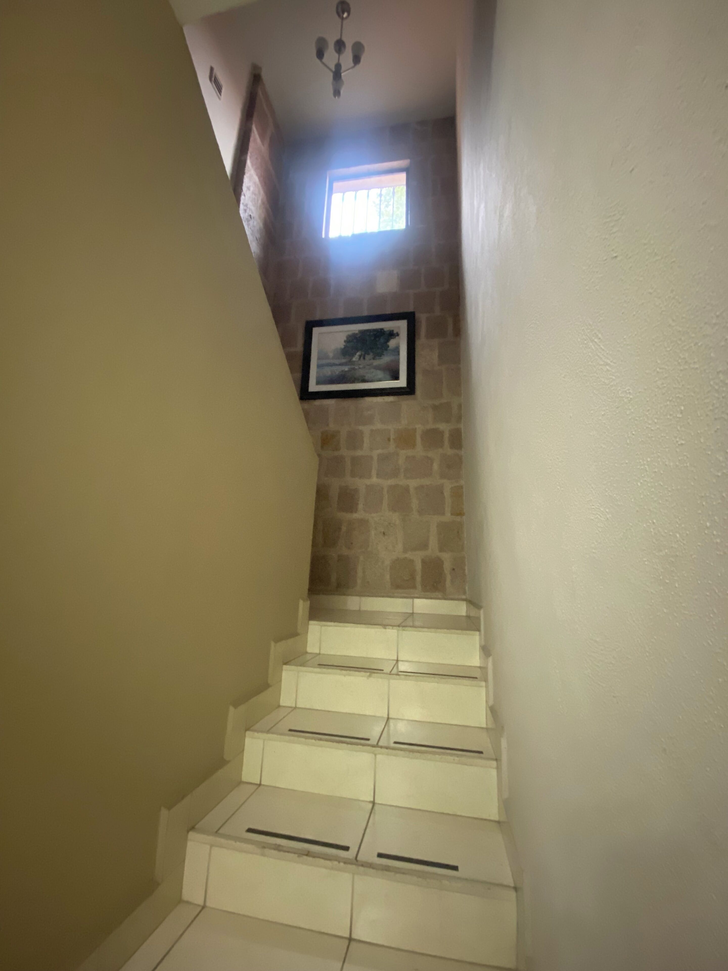 Foto - Los Sauces Morelia