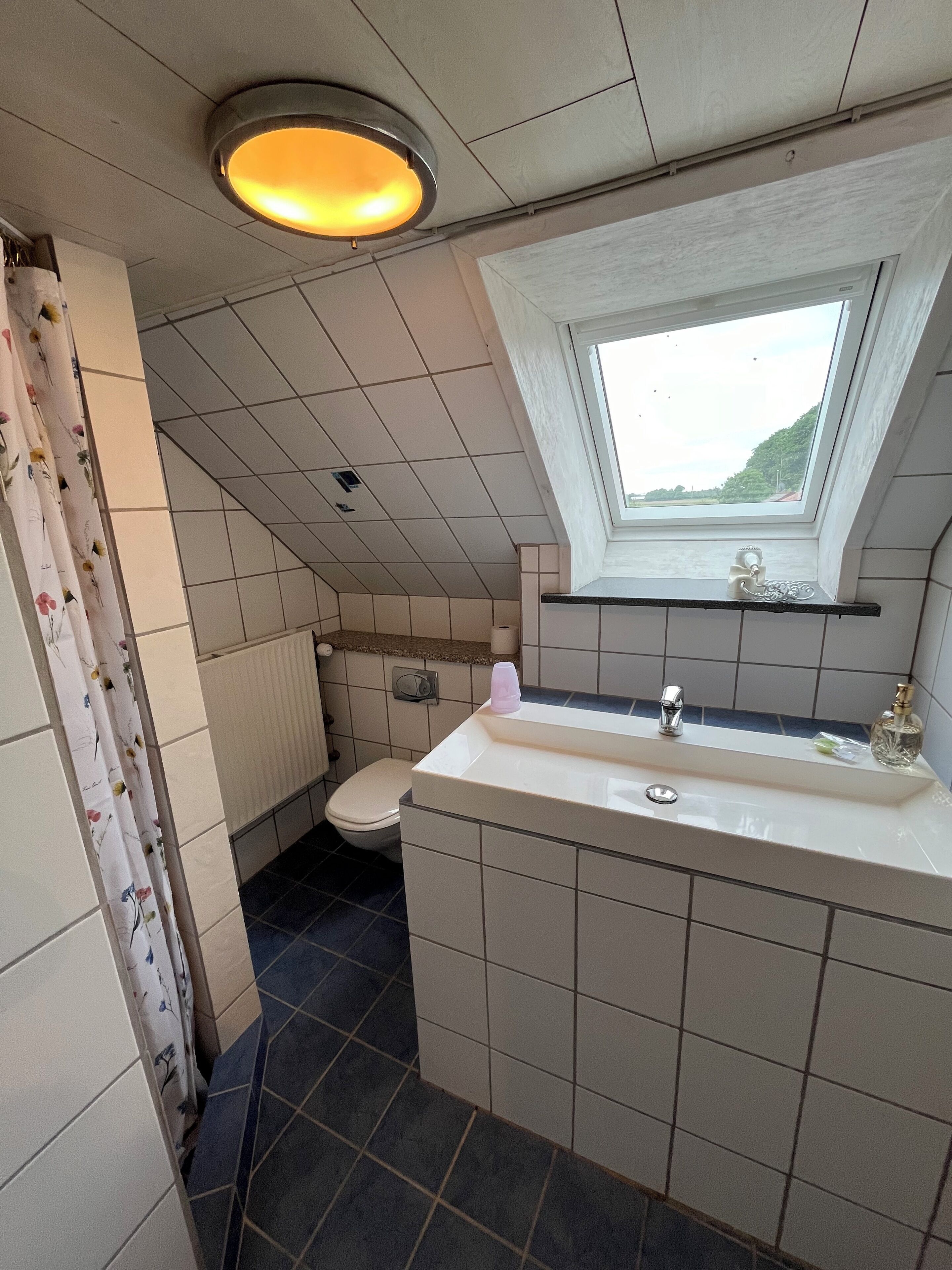 Een kleine badkamer met dakraam, toilet en wastafel met spiegel.