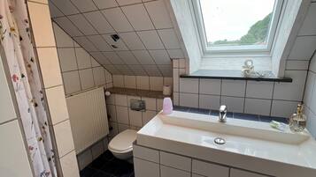 Een kleine badkamer met dakraam, toilet en wastafel met spiegel.